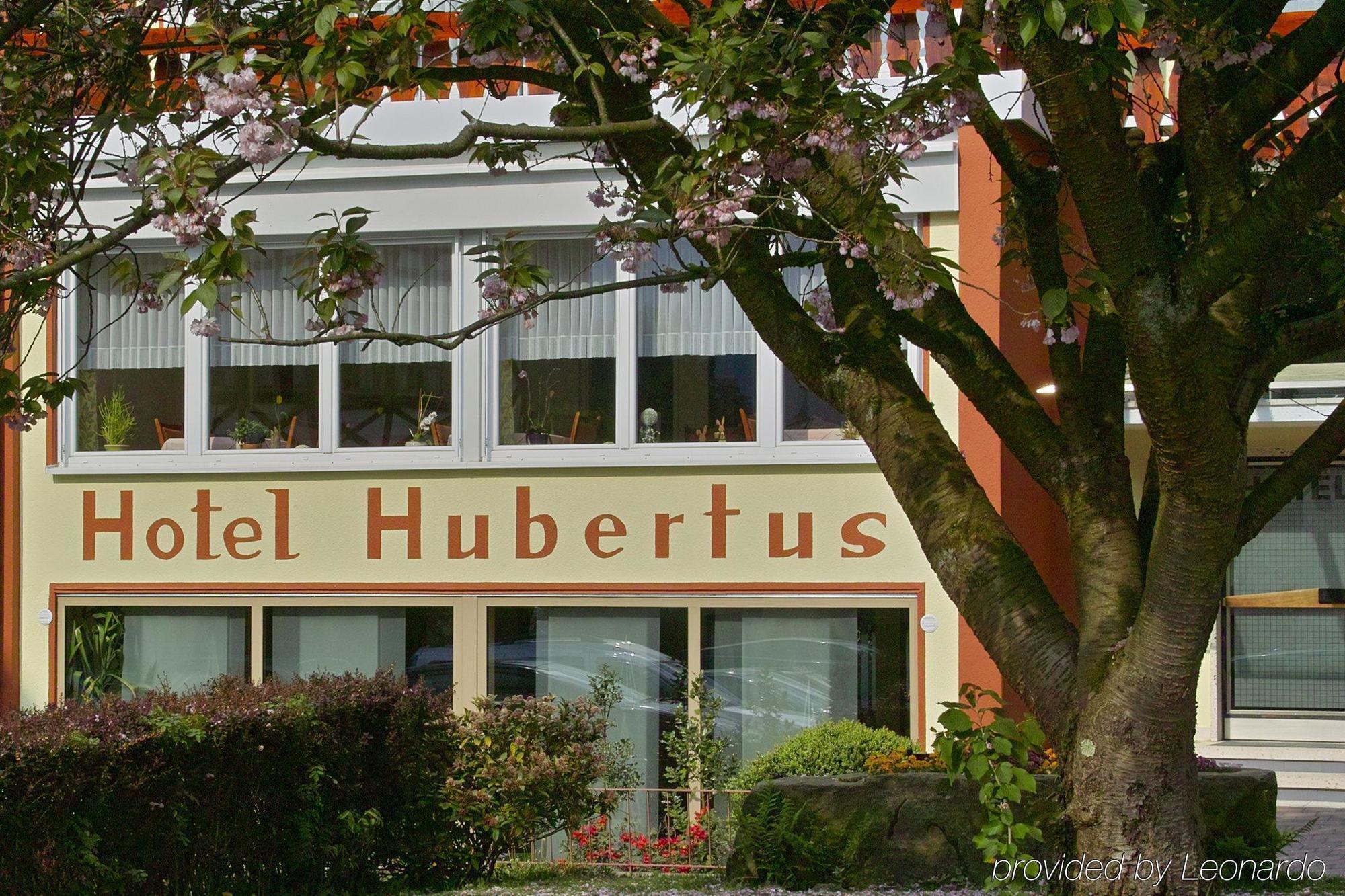 מלון באד פטרסטאל-גריסבאך Akzent Hubertus מראה חיצוני תמונה